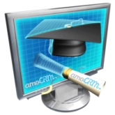 Онлайн-консультация и настройка amoCRM. Фото