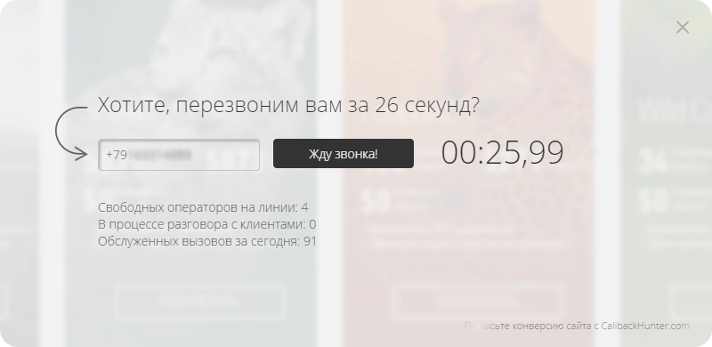 CALLBACKHUNTER виджет