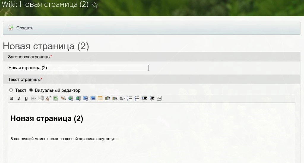 Вносим текст Вносим текст