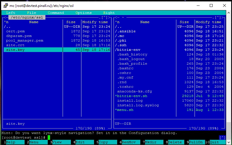 Копируем ключ и сертификат