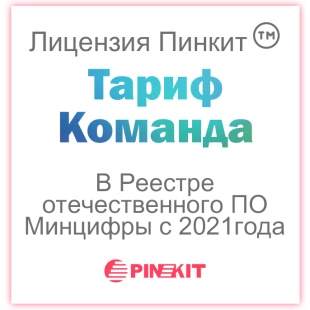 Лицензия на подключение сервиса Пинкит  (обмена данными CRM с Вашим веб-сервисом) тариф Команда
