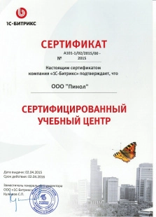 Онлайн-консультация Битрикс24 пакет «Руководитель»