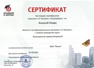 Онлайн-консультация по работе с Пинкит