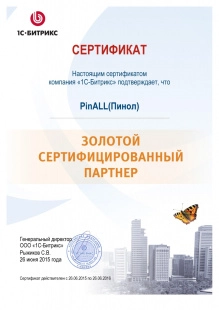 Онлайн-консультация по работе с Пинкит