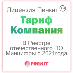 Лицензия на подключение сервиса Пинкит (обмена данными CRM с Вашим веб-сервисом) тариф Компания