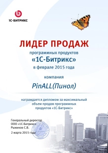 Онлайн-консультация по работе с Пинкит