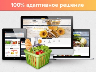 ROMZA: ONLINE Store — интернет-магазин продуктов и товаров для дома на Битрикс