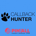 Интеграция виджета обратного звонка CallbackHunter с CRM bpm'online. Рисунок