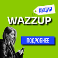 Скидки на Пинкит и настройки интеграций вместе с Wazzup. 