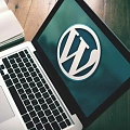 Интеграция WordPress и Битрикс24 на платформе Пинкит. Рисунок